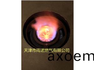 植物油燃料（輕質白油）