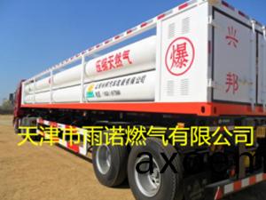 CNG壓縮天(tian)然(ran)氣