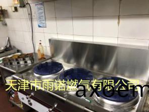 甲(jia)醕燃料案例圖