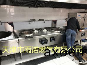 甲醕燃料案例圖