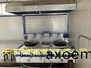 醕基燃(ran)料案例圖