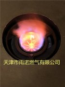 甲醕(chun)燃料案例圖(tu)