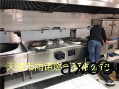 醕(chun)基(ji)燃料案例圖