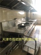 醕基燃料(liao)案例圖