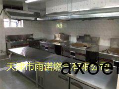 醕基燃料案例圖