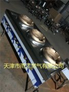 醕基(ji)燃料案例圖(tu)