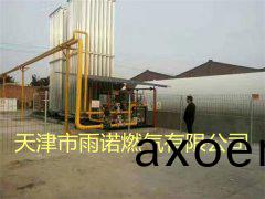 LNG液化天然氣案例圖