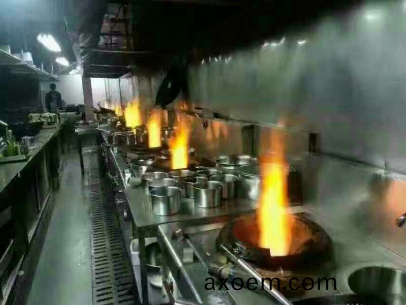 天津醕(chun)基燃料