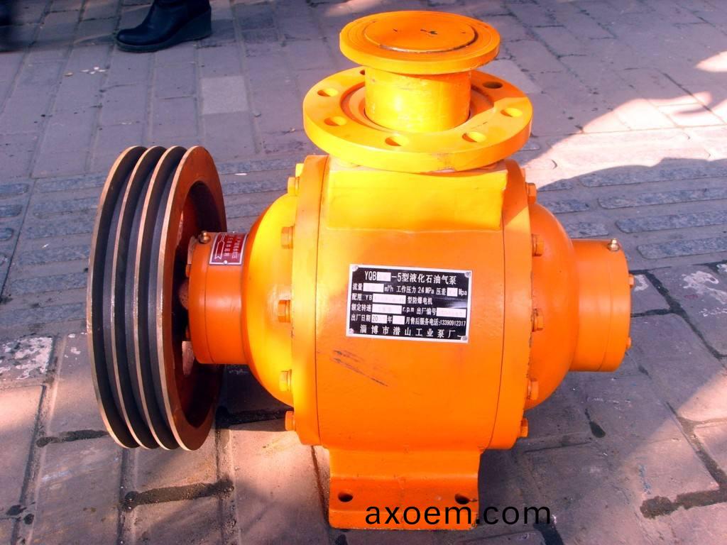 天津天然氣配送公司